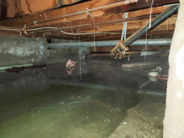 Best 24/7 water damage repair  in Jacksonvle, IL