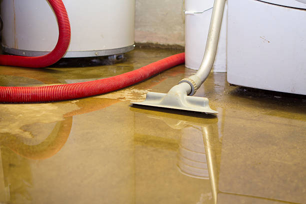 Best Carpet water damage restoration  in Jacksonvle, IL