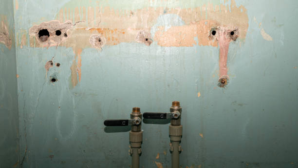 Best Commercial water damage restoration  in Jacksonvle, IL